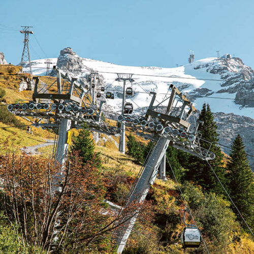 Rindertitlis